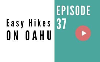 HB 037: Easy Hikes on Oahu for Beginners