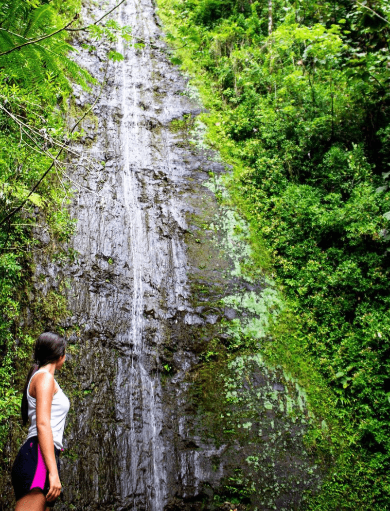 Manoa Falls Trail