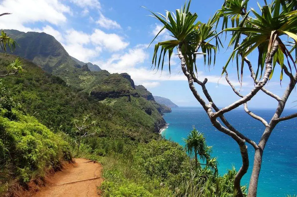 hawaiian-words-to-learn-before-visiting-aina