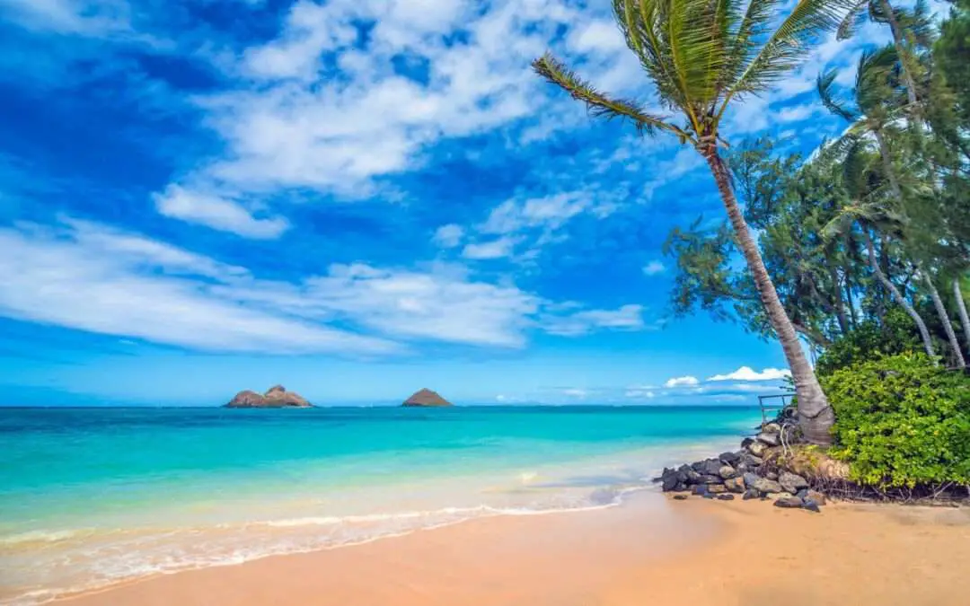 Discover Hawaii in June (2023): Is June a Good Time to Visit Hawaii?
