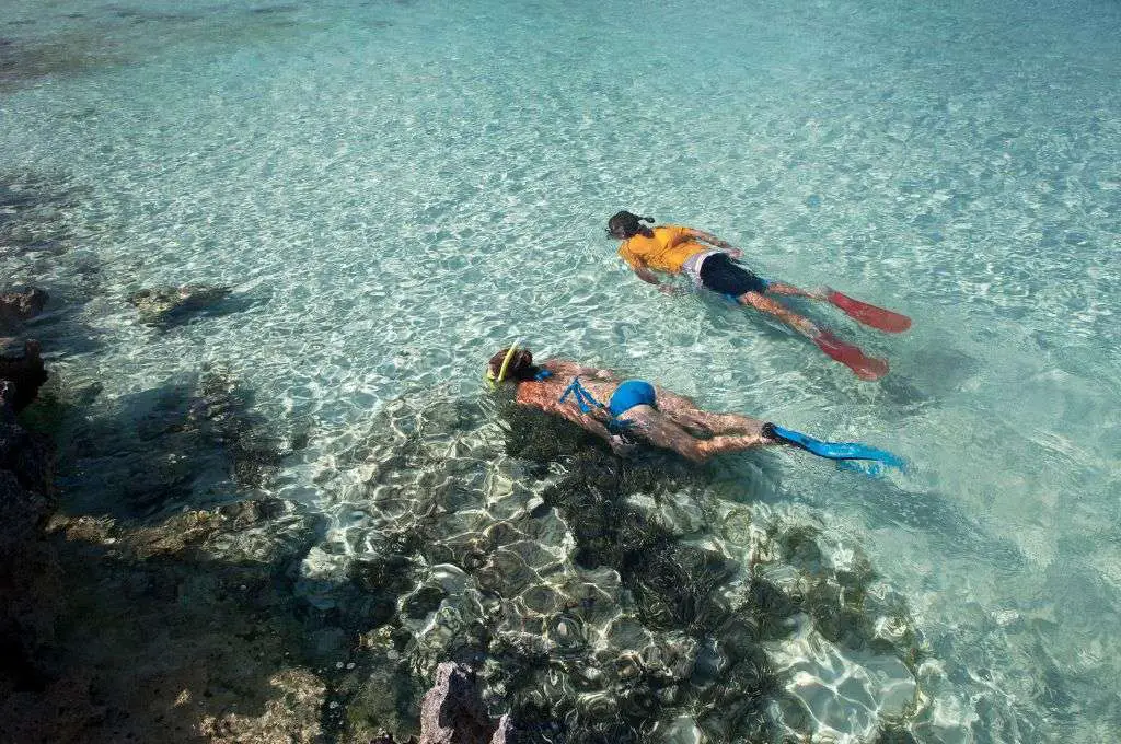 snorkeling in the summer in hawaii