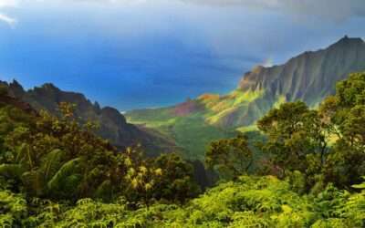 Secret Falls in Kauai: Essential Tips for a Perfect Visit (Uluwehi Falls) 3 29 Best Things to Do in Kauai: The Ultimate Guide to a Hawaii Vacation (2024)