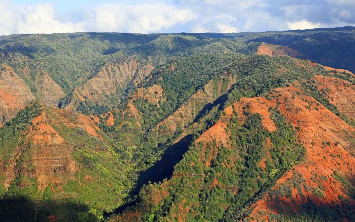 things to do in kauai Explore Waimea Canyon