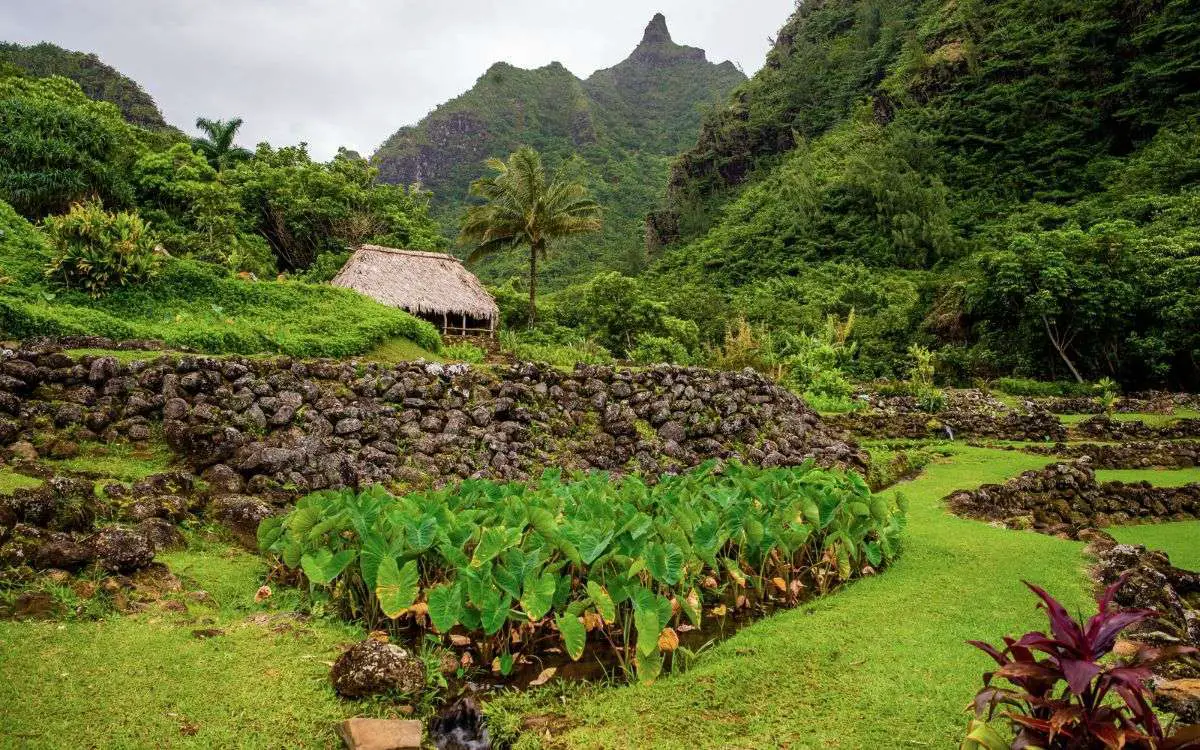 things to do in kauai Limahuli Garden and Preserve