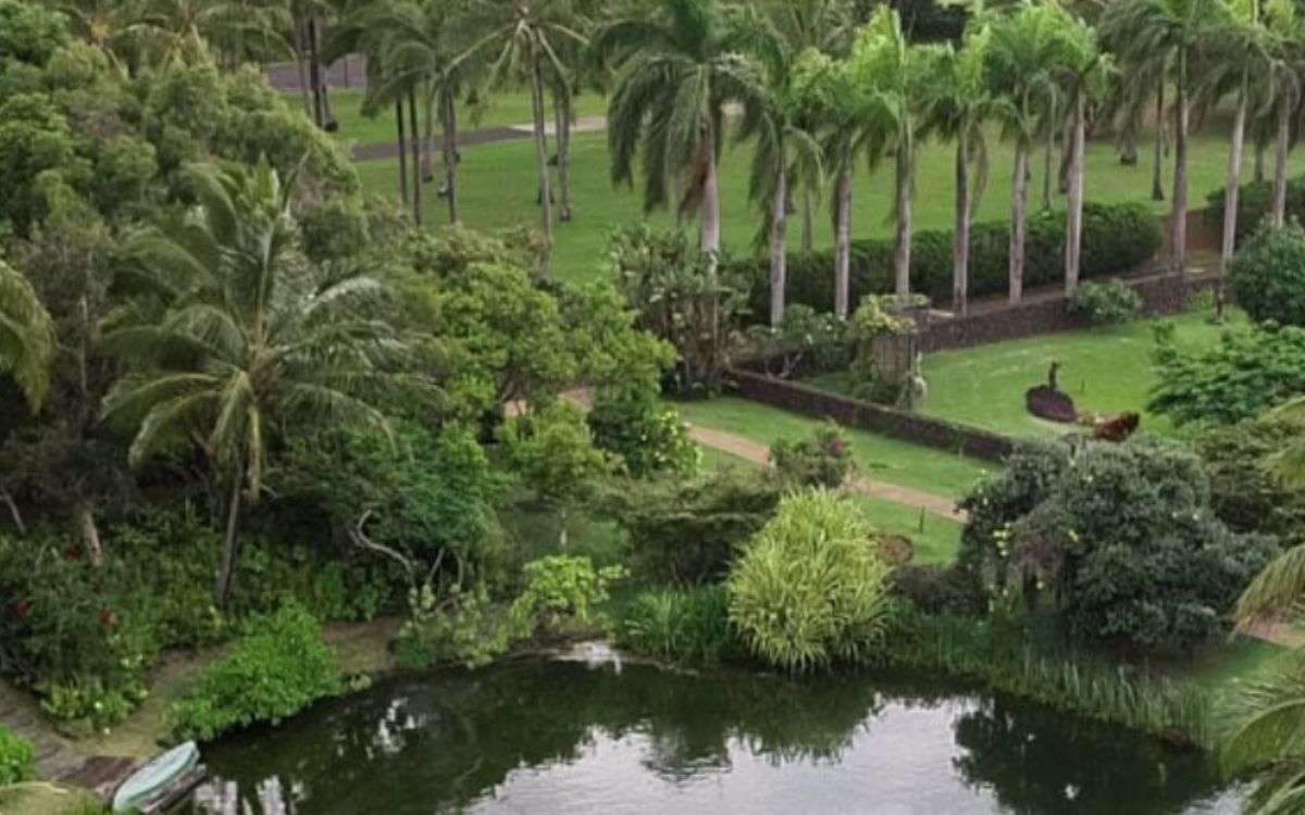 things to do in kauai Na Aina Kai Botanical Gardens Sculpture Park