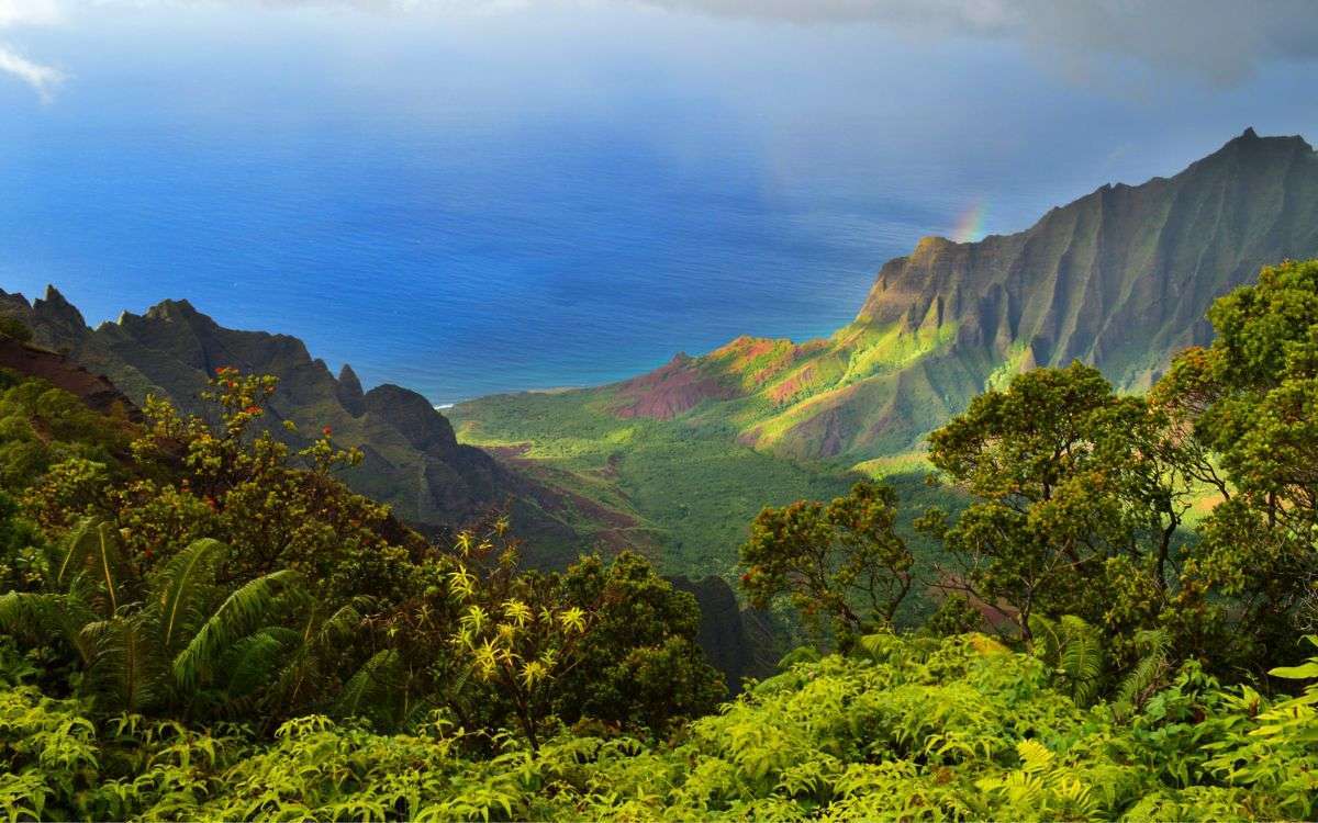 Things to do in Kauai featuring an aerial view of Kauai's lush green landscape, featuring the dramatic Na Pali Coast cliffs, turquoise waters, and a couple enjoying a peaceful kayak adventure in a hidden cove.