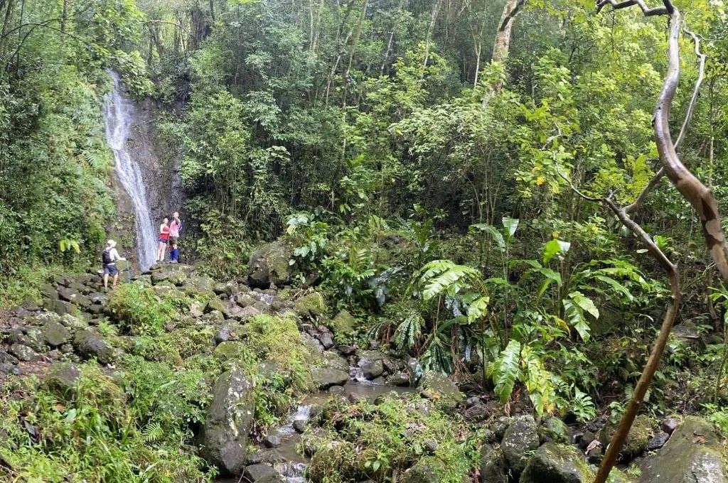 Aihualama Trail oahu waterfall hike1