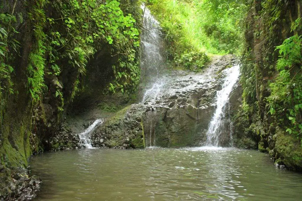 Maunawili Falls oahu waterfall hike