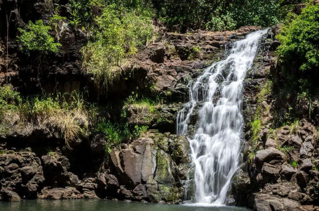 Waimea Falls oahu waterfall hikes