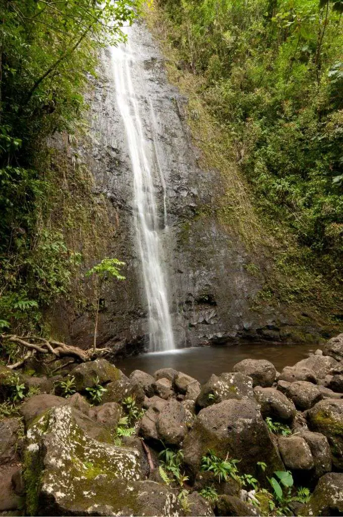 best oahu water hikes manoa falls