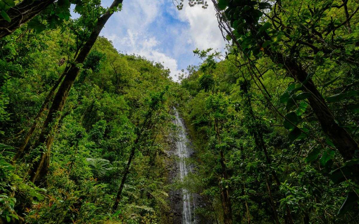 best oahu waterfall hikes