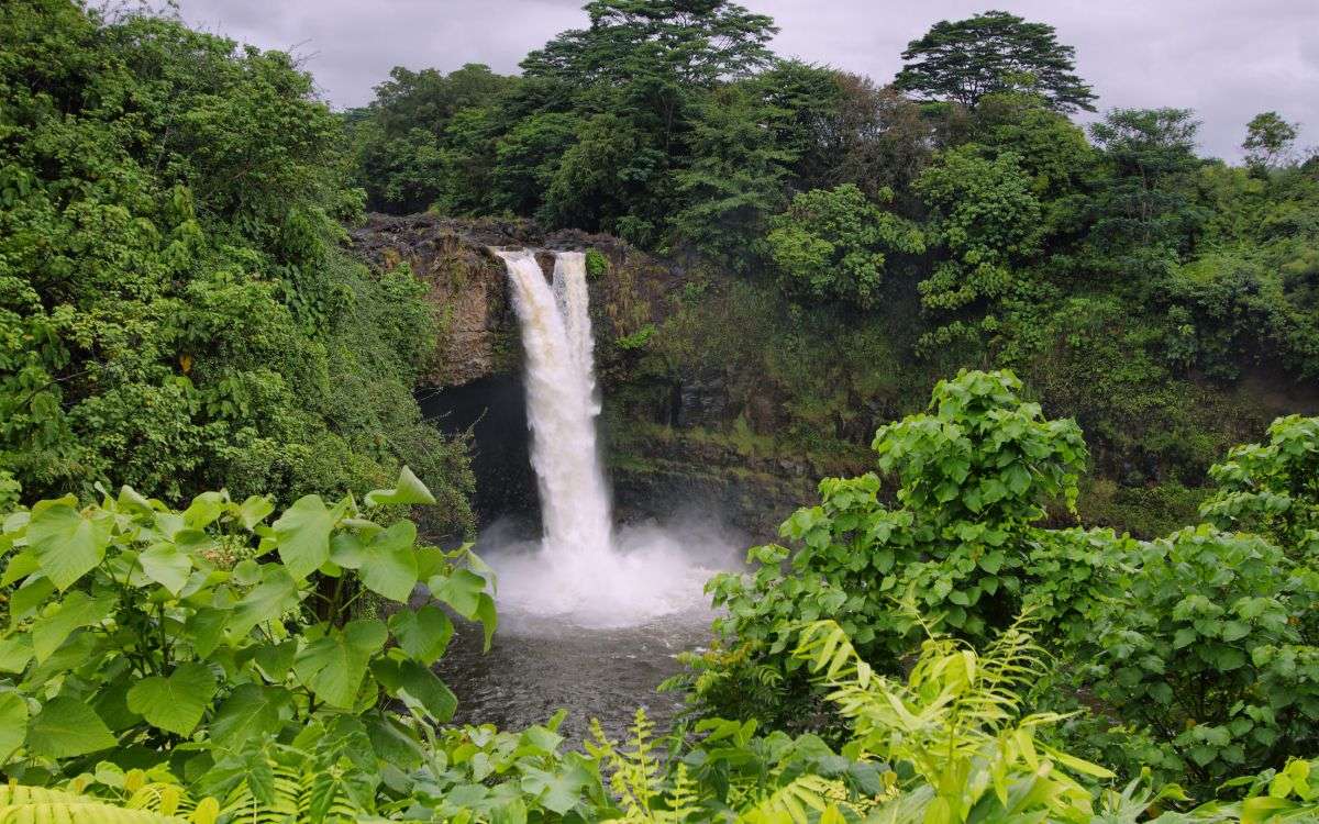 Hilo, Hawaii Tourist Overview - Hilo Vacation Homes