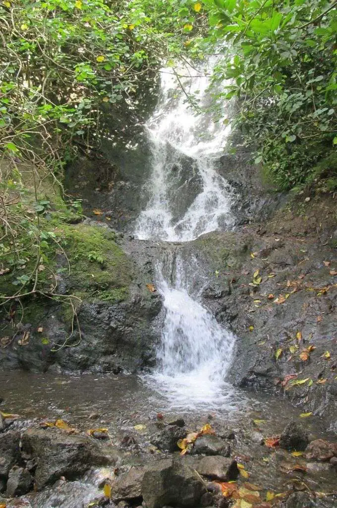 likeke falls oahu water hikes