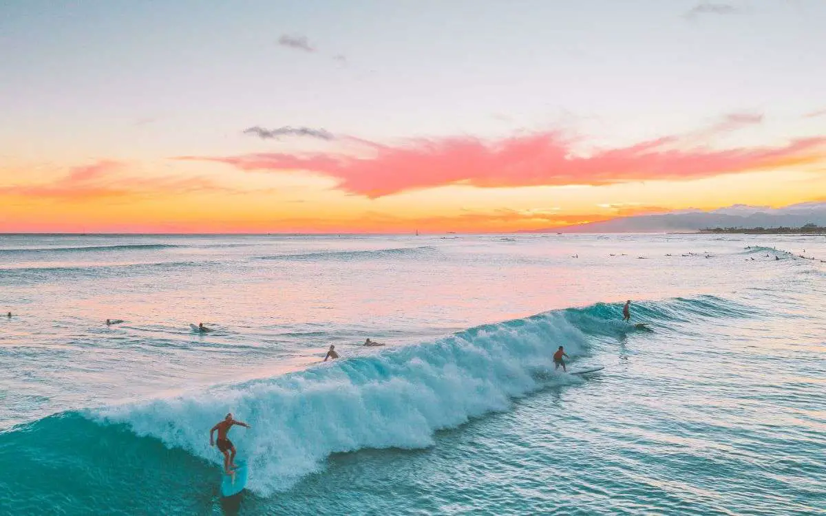 hawaii surf camp