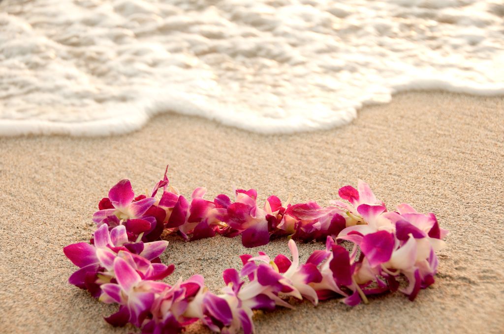 hawaiian tropical flowers - lei