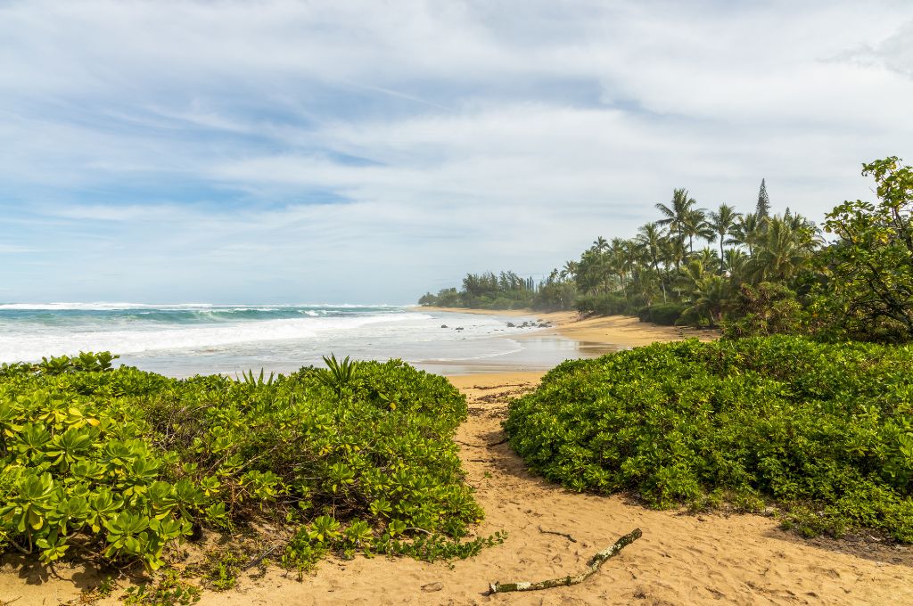 kalihiwai beach north shore kauai