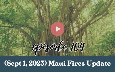 Episode 104: Maui Fires Update (Sept. 1, 2023): This Week in Review with Garrett Marrero of Maui Brewing Company