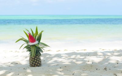 Christmas on Maui: The Ultimate Guide to Maui During the Holidays [UPDATED]