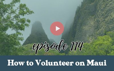 Episode 114: Volunteer on Maui: Inside the Valley Where Ancient Hawaii Still Thrives with Maui Cultural Lands