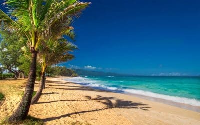 Discover the 15 Best Beaches in Maui, Hawaii for Your Ultimate Vacation