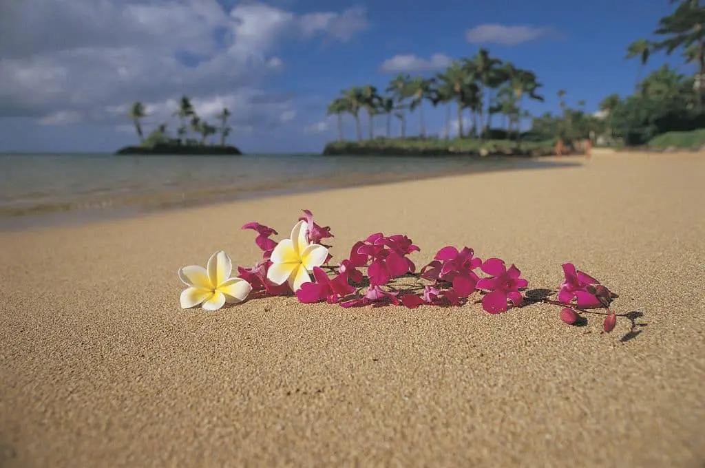best beaches in oahu - other beaches