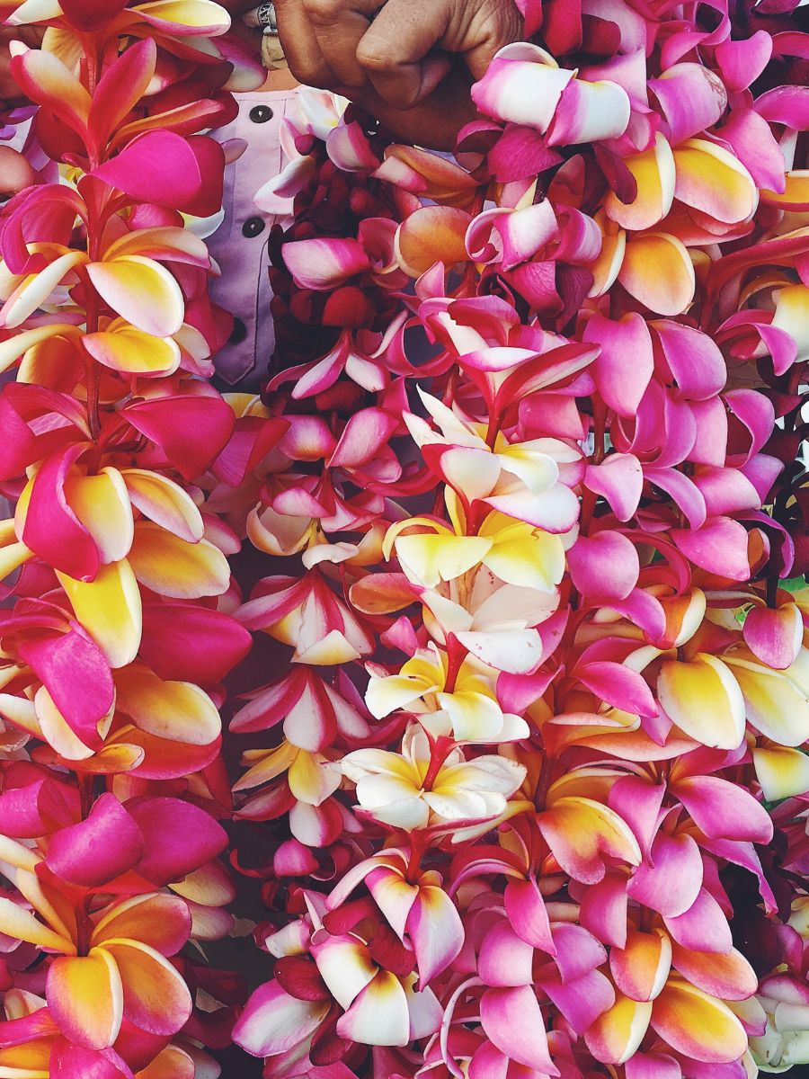 Colorful Leis in Hawaii - Hawaiian Holidays