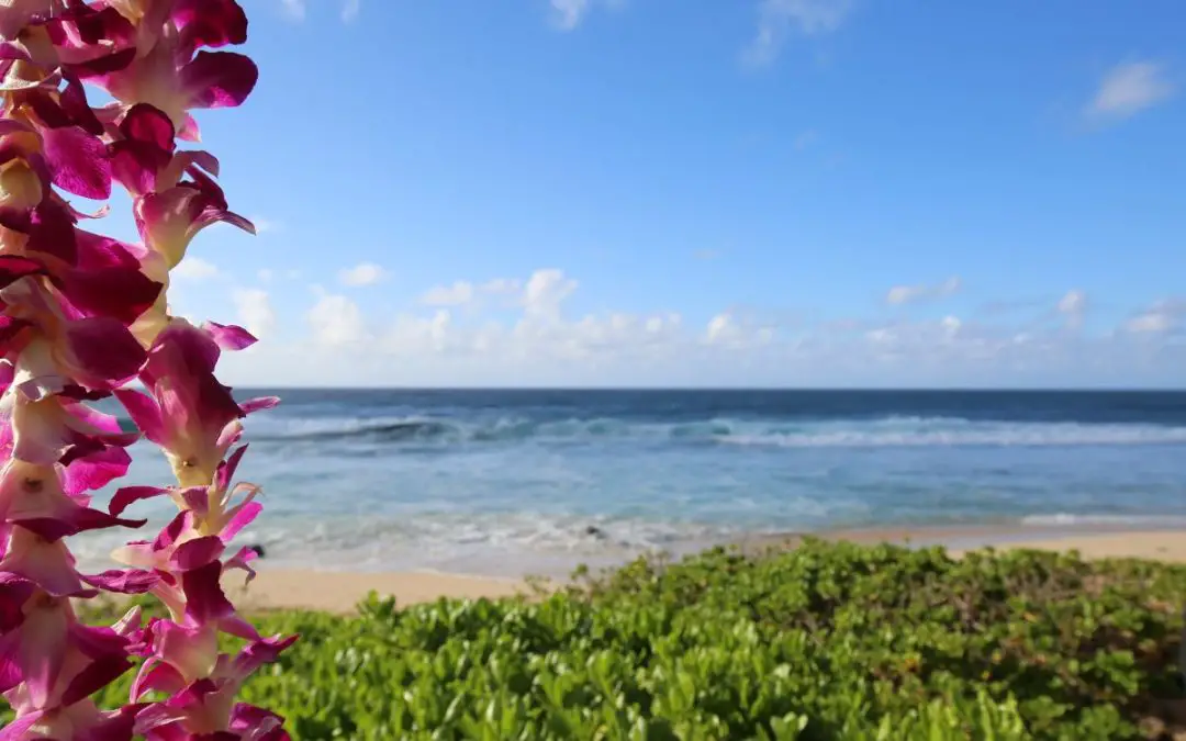 Visit Hawaii in March: Is March a Good Time to Go to Hawaii? (2024)