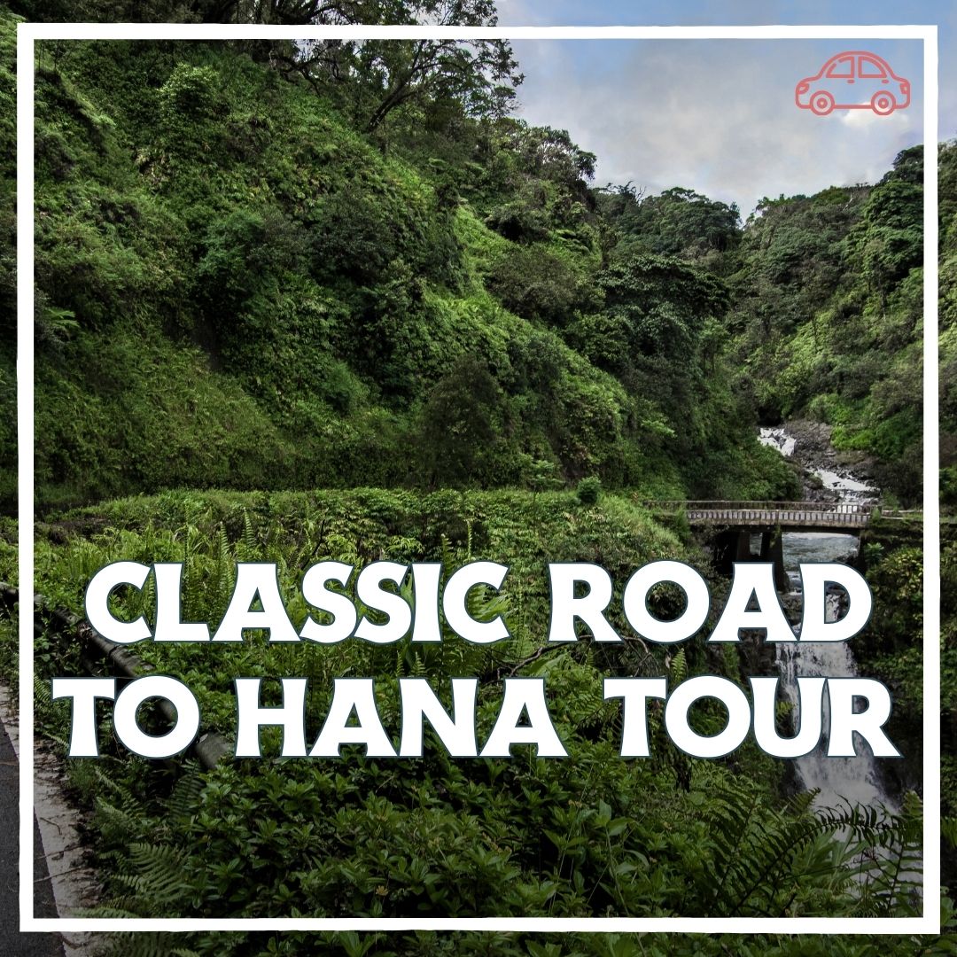 classic road to hana tour