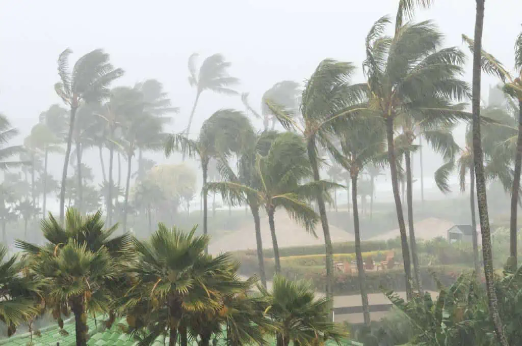 hurricane in hawaii