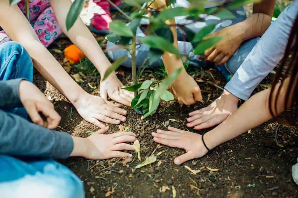 planting a tree in hawaii with locals