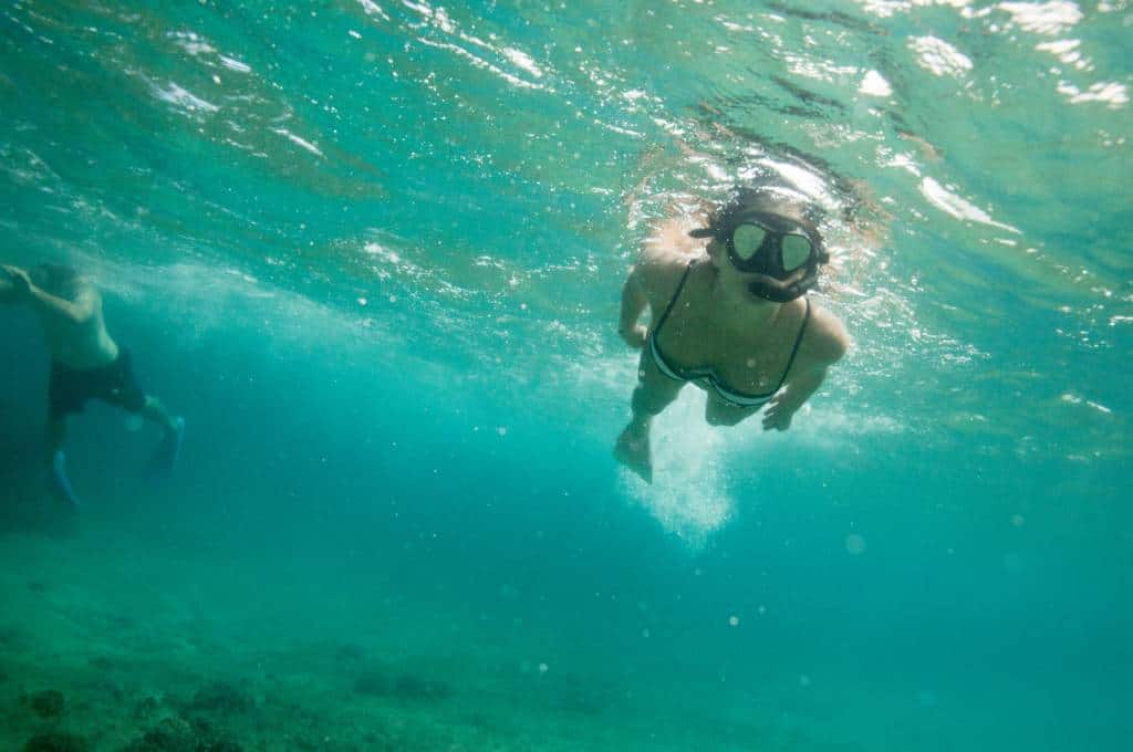 snorkeling in hawaii in summertime