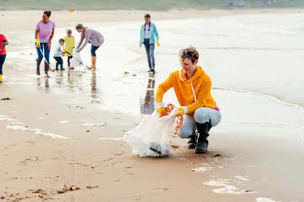 a group doing a beach clean up