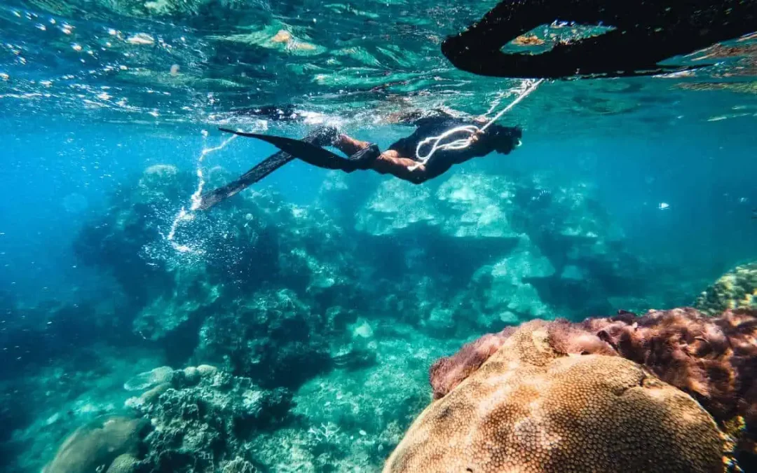 8 Best Snorkel Spots on Kauai: Dive into the Best Beaches and Underwater Wonders