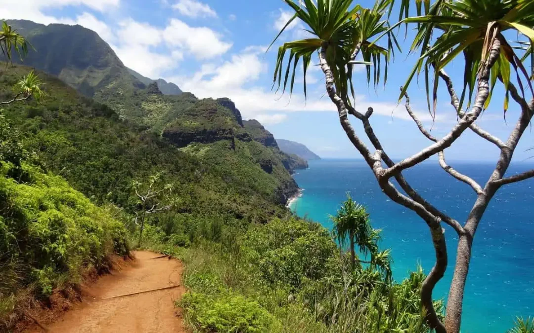 Best Time to Visit Kauai, Hawaii: Your Ultimate Guide to the Perfect Kauai Vacation (2024)