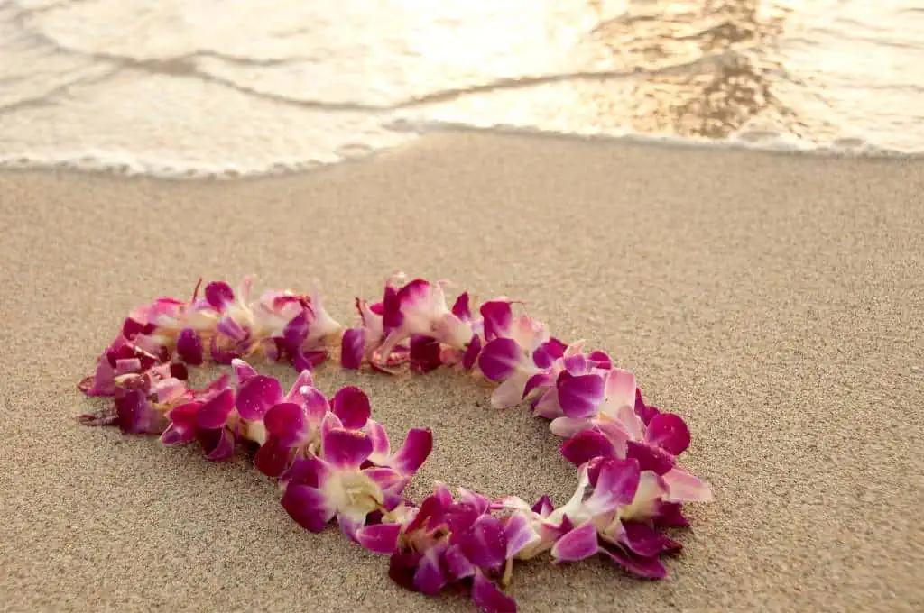 flower lei on a sandy beach
