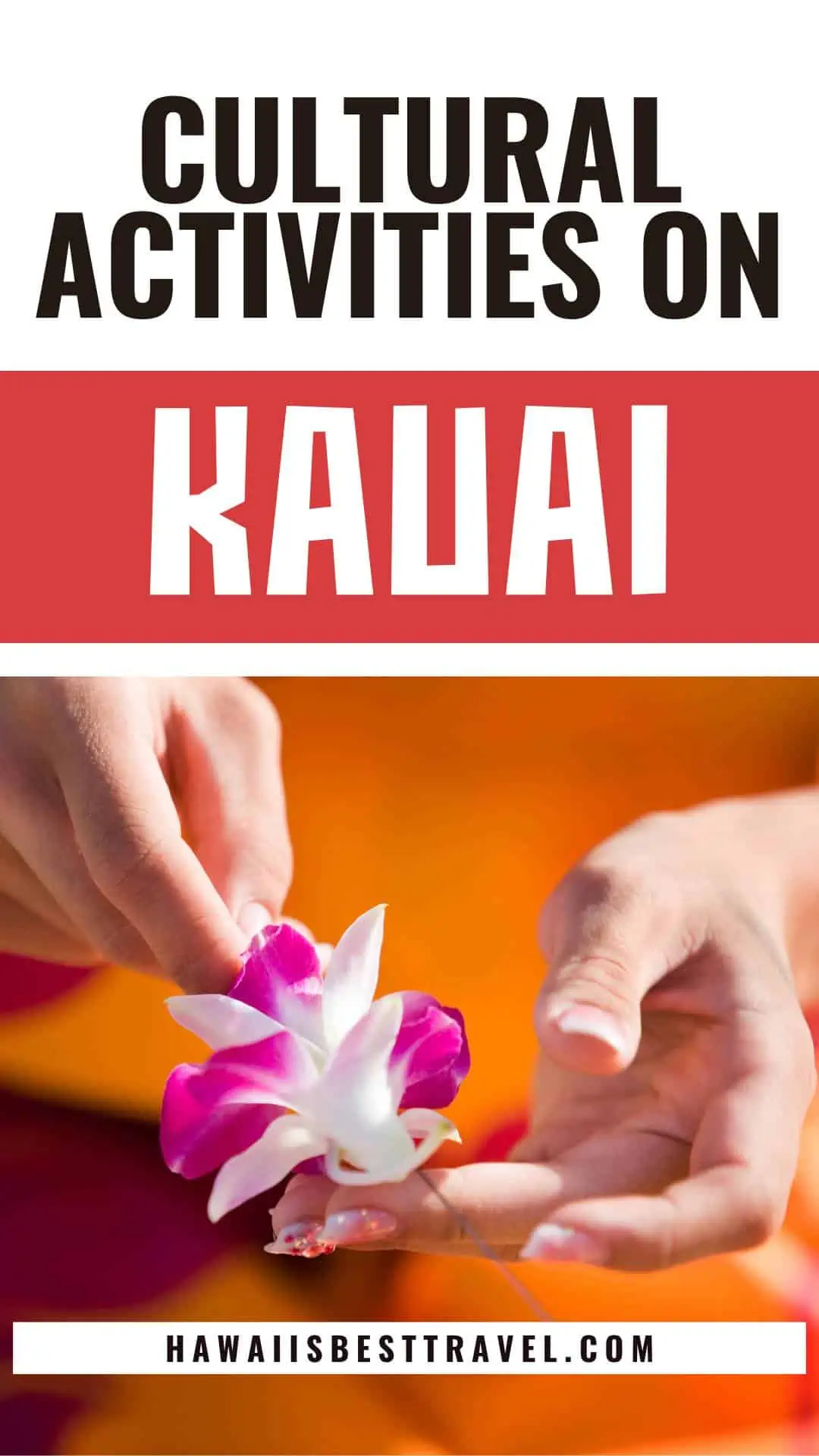 kauai cultural activities - pin