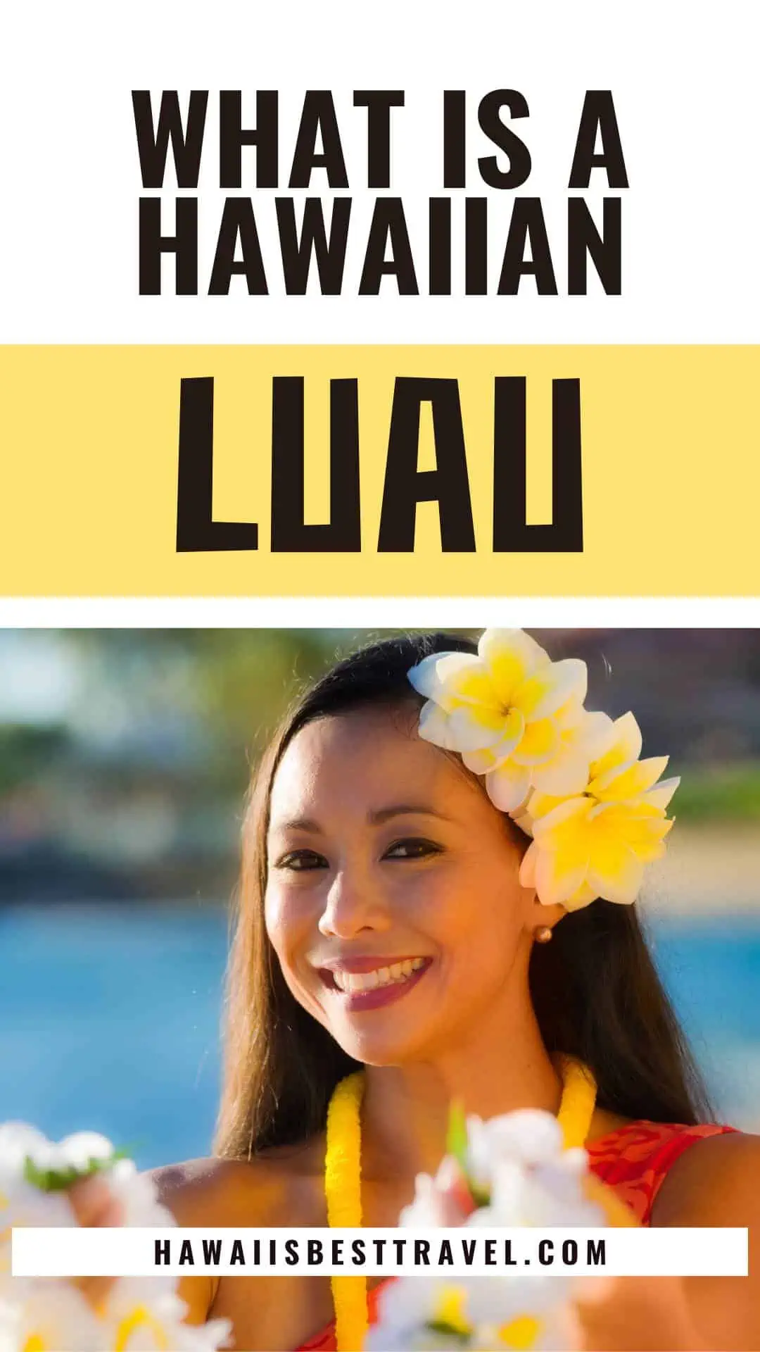 traditional hawaiian luau - pin