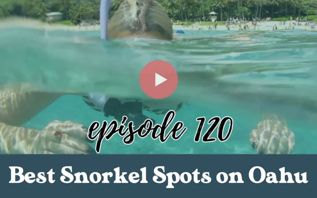 Episode 120: Top 5 Best Snorkel Spots on Oahu: What to Know Before Snorkeling in Hawaii