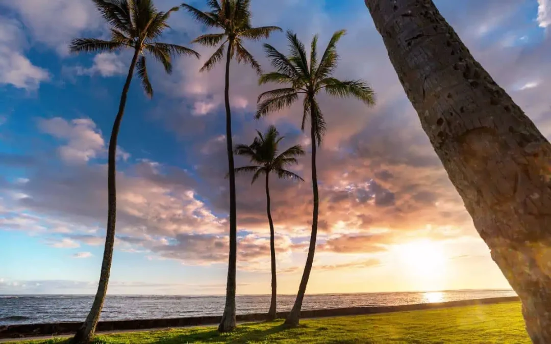 Best Time to Visit Maui, Hawaii: Your Guide for When to Travel to Maui (2024)