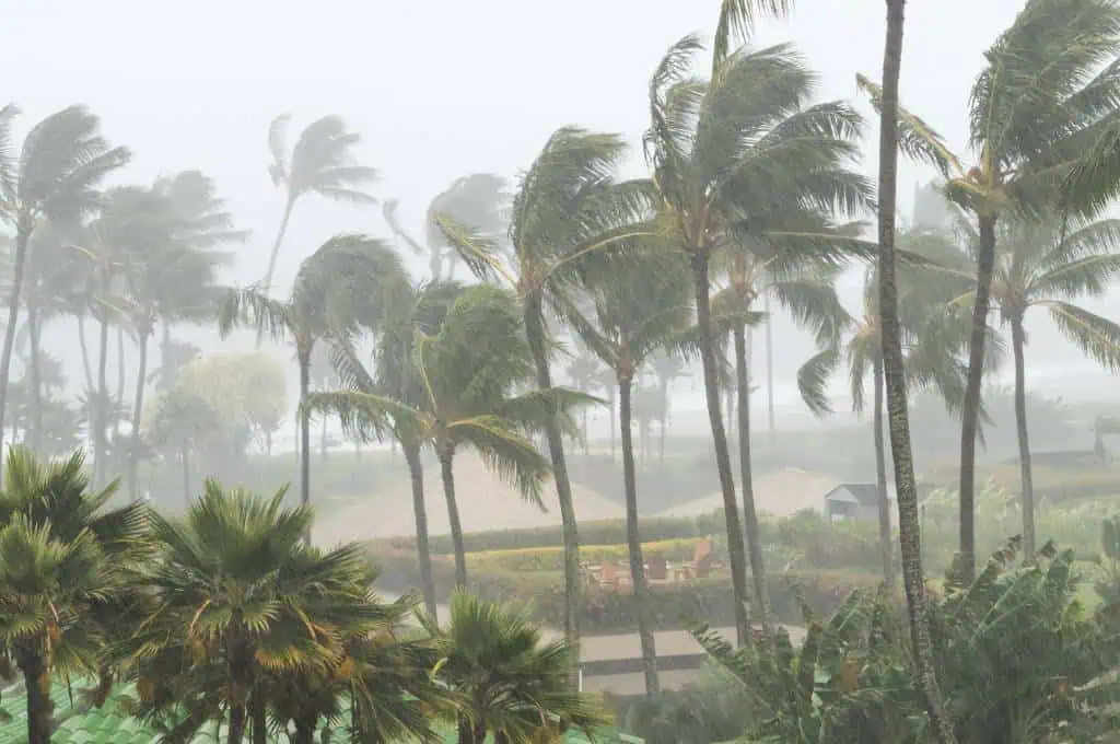 hurricane season in hawaii