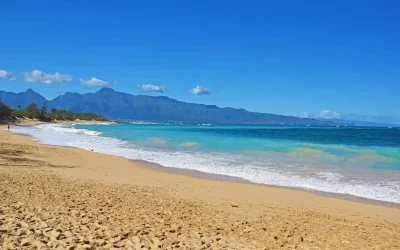 Guide to the Best Paia Beaches: North Shore Maui (2024)
