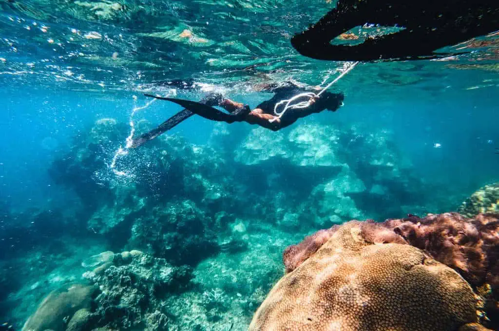 snorkeling on the big island of hawaii