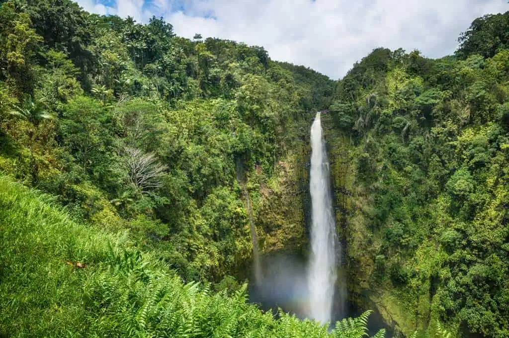 Akaka Falls - Big Island Waterfalls