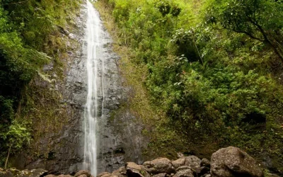 9 Breathtaking Waterfalls of Oahu to Explore in Hawaii 3 Hiking Manoa Falls Trail on Oahu, Hawaii: Ultimate Guide to All You Need to Know (2024)