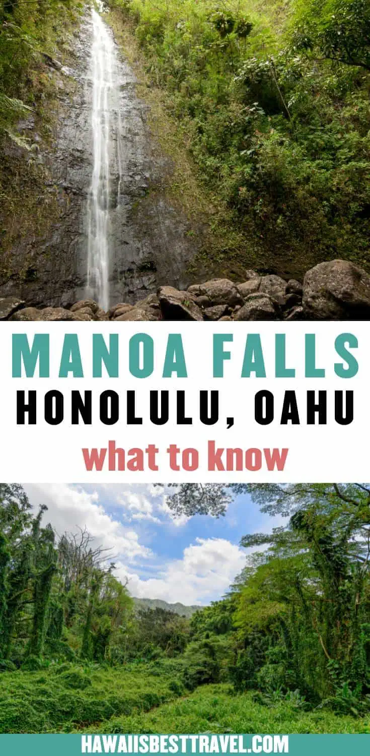 manoa falls trail honolulu-pin