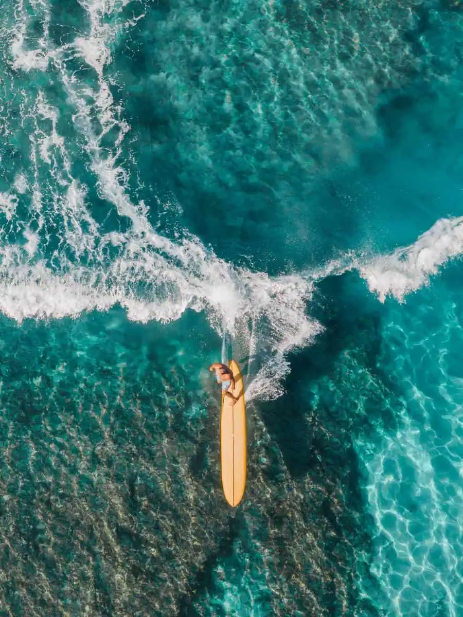 surfing at waikiki beach