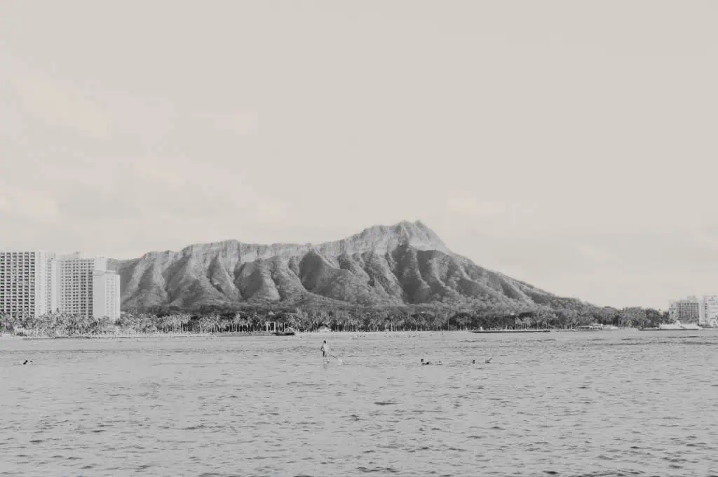 vintage waikiki