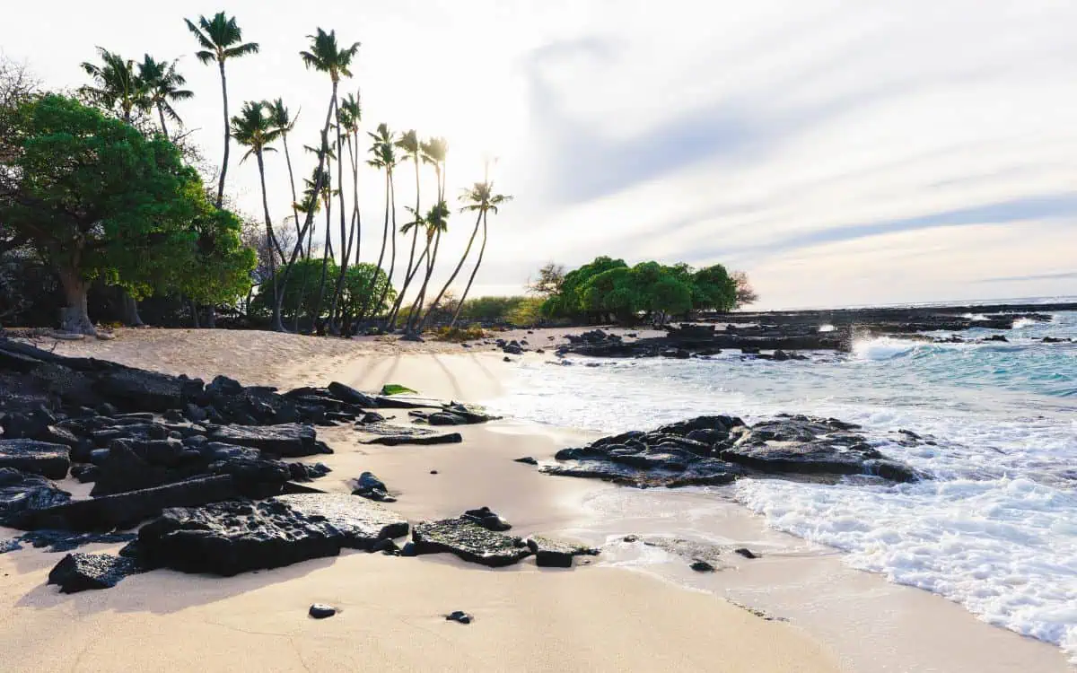 a beach with rocks and palm trees - best beaches on the big island