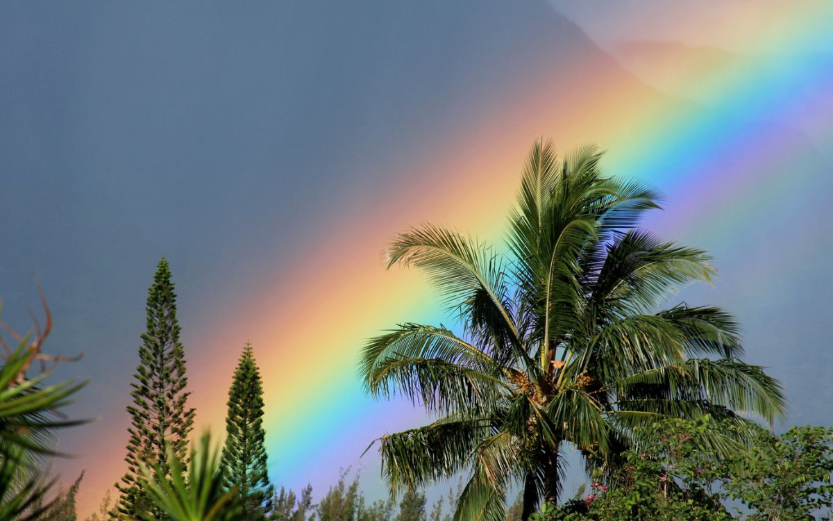 Fun Things to Do in Kauai When it Rains Fun Things to Do in Kauai When it Rains