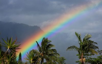 What to Do in Hawaii When It Rains: Activities on Oahu, Maui, Kauai, & Big Island (2025)